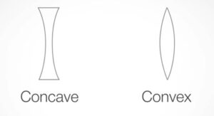 Saddle Joint (Concave and convex)