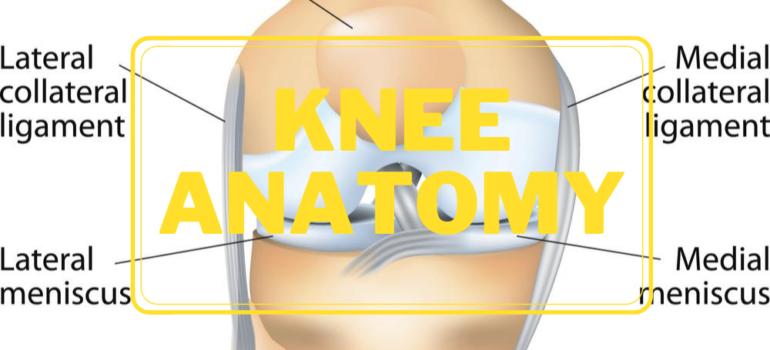 Knee Featured Image