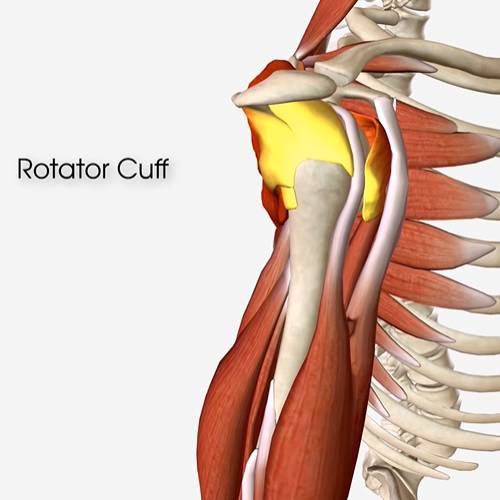 What Is My Rotator Cuff, and Why Does It Hurt? to SYS Medtech International Pvt. Ltd.