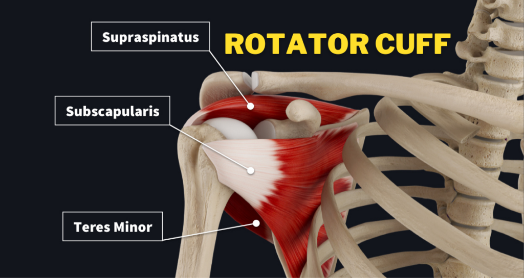 What Is My Rotator Cuff, and Why Does It Hurt? to SYS Medtech