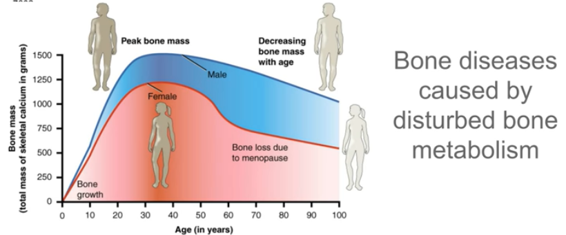 Metabolic Bone Disorders chart